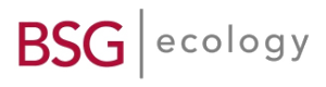 BSG Ecology Logo