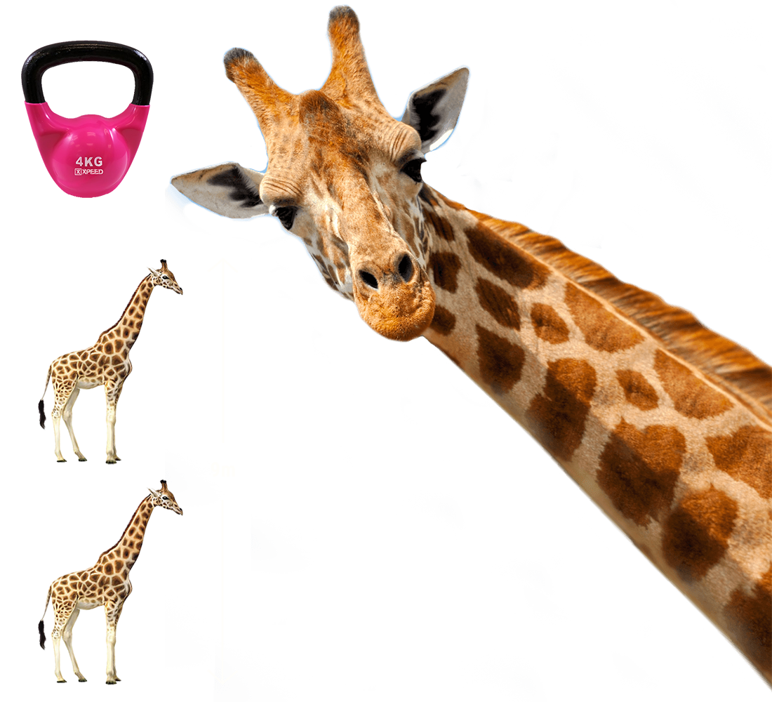 A diagram showing a 4kg weight being dropped from a height of 9 metres, withstandable by VELUX burglary resistant windows